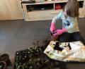 Bild: do
Hokkaido-Kürbispflänzchen züchten Nele und Nicole Reichert heran, um den Verein der Kinderkrebshilfe in der Region Oberpfalz Nord zu unterstützen