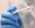 Bild: Karl-Josef Hildenbrand/dpa
Ein Arzt hält einen Tupfer für einen Coronatest-Abstrich.