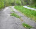 Bild: Gabi Schönberger
Neben dem Bocklradweg (rechts) führt ein verwildernder Weg zum ehemaligen Tritschler-Gelände. Der wird jetzt gesperrt.