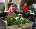 Bild: mad
Die Mitglieder des Gartenbau- und Ortsverschönerungsvereins packten gemeinsam an und verschönerten die öffentlichen Anlagen mit Pflanzen.