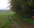 Bild: gi
Der Radweg muss weg von der gefährlichen Staatsstraße. Als wesentlich familienfreudiger wird die Trasse Hallenbad Moosbach – Strehberg – Gebhardsreuther Schleife (Mayrschleif) – Hammermühle – Lohma“ nun angesehen.