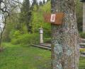 Bild: exb
Die Wanderer finden rund um Bärnau einen Eichhörnchenweg: Der ist auch in der neuen Wanderkarte verzeichnet.