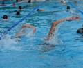 Archivbild: Petra Hartl
In Auerbach haben die Schwimmer ab Freitag, 21. Mai, wieder Gelegenheit, im Freibad ihre Runden zu drehen.