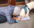 Bild: fvo
Auch Labrador „Hetfield“ hat bei der Waldthurner Marktrallye seine Freude, er begleitete sein Herrchen Toni Simmerl aus Remmelberg und überprüfte ganz genau, ob dieser richtig antwortet.