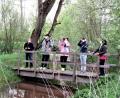Bild: ubb
Roland Bönisch (Zweiter von links) leitete eine Vogelstimmenwanderung im Klostergarten Waldsassen. Von dieser Brücke aus konnte mit Ferngläsern so mancher Singvogel in den Bäumen entdeckt werden.