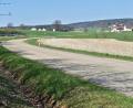 Bild: Andreas Royer
Ob ein kombinierter Geh- und Radweg von Erlheim nach Kleinfalz umsetzbar ist, wird sicherlich auch in einem professionellen Radwegekonzept Berücksichtigung finden.