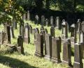 Archivbild: Popp
Vom jüdischen Friedhof in Floß sind etwa 400 Grabsteine sowie ein Gedenkstein für 33 jüdische Häftlinge des KZ Flossenbürg, die im April 1945 in einem Gemeinschaftsgrab bestattet wurden, erhalten. Die letzte jüdische Beerdigung fand 1946 statt.