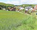 Bild: no
Blick auf die Fläche, auf der am östlichen Ortsrand von Illschwang das Baugebiet „Am Fichtelberg“ entstehen soll.