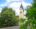 Bild: Dobmeier
Üppige Kastanienblüte auf der Allee in Weiden.