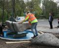 Bild: roh
Präzises Arbeiten war beim Einheben des Brunnensteins in das vorgefertigte Wasserauffangbecken nötig.
