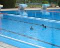 Bild: wmr
Ein Entenpaar hat kürzlich einige Runden im Schwimmerbecken des Mitterteicher Freibads gedreht.