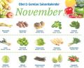 Grafik: Lukas Meister
Saisonkalender für November.