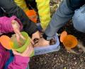 Bild: Michaela Kolb/exb
Mitnehmen war ausdrücklich erwünscht und kleine Kinderhände griffen bei dem, was die Kindertagesstätte Guter Hirte in Rosenberg für sie bereitgestellt hatte, gerne zu.
