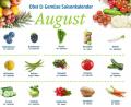 Grafik: gld
Der Saisonkalender für den Monat August.