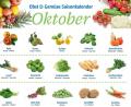 Grafik: gld
Saisonkalender für den Monat Oktober.
