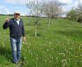 Bild: Helga Kamm
Jakob List in seinem Refugium: 36 Obstbäume am Rande des Dorfes sind wie eine Insel für Arten, die in einer intensiv bewirtschafteten Landschaft keinen Lebensraum mehr finden.