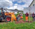 Bild: ow
Vier Klimabäume pflanzte der Obst- und Gartenbauverein zusammen mit den Arbeitern vom Bauhof im Rahmen der Aktion „Heimische Bäume für unsere Zukunft“.
Von links: Manuel Kroher, Johannes Dörner, Stefan Simon und André Dietrich.