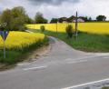 Bild: bö
Wer für die Sanierung der Zufahrt zum Weiler Frauenlohe zuständig ist, muss erst noch geklärt werden. Denn der Weg hinauf zu dem Ort ist nicht nicht identisch mit dem Wegeverzeichnis der Gemeinde Ebermannsdorf.