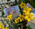 Bild: Bittner/exb
Die Blumensamen sollen das Schönseer Land für die Insekten zum Blühen bringen.