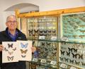 Bild: njn
Im Heimat-und Bergbaumuseum werden dieses Jahr viele verschiedene Schmetterlingsarten gezeigt. Museumsleiter Manfred Klöble freut sich schon auf viele Besucher.