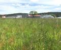 Bild: Gabi Schönberger
Das BayZBE, dessen graue Halle im Hintergrund zu sehen ist, hat diese Wiese im Gewerbegebiet Neuhaus von der Firma Trepl gepachtet. Darauf soll möglichst im nächsten Jahr ein Erweiterungsbau entstehen.