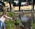 Archivbild: rgr
Der Fischereiverein Grafenwöhr muss das Fischerfest für heuer wieder absagen. Aber es gibt eine Alternative.