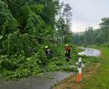 Bild: Feuerwehr Sunzendorf
Ein Baum stürzte auf die Straße, die von Sunzendorf nach Högen im Landkreis Amberg-Sulzbach führt.