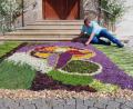 Bild: bsc
Die letzten Feinheiten an seinem prachtvollen Blumenteppich zum Fronleichnamsfest erledigte Mesner Tobias Megies (Bild) kurz vor dem Gottesdienst. Fast vier Stunden benötigte er in diesem Jahr für sein Kunstwerk.