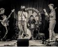 Bild: The Miraculously Majestic Masters Of Mayhem
Die Band „The Miraculously Majestic Masters of Mayhem“ steht am Samstag, 12. Juni, im Schaffnerlos auf der Bühne.