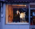 Bild: Badehaus Maiersreuth/exb
Im Schaufenster des Kunstprojekts in Waldsassen wird auf die Ausstellung in Maiersreuth hingewiesen.