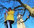 Bild: upl
Heike Unger auf der Leiter. Die Ebermannsdorferin schmückte am Samstag einen Baum vor dem Amberger Luftmuseum mit mehr als 400 gehäkelten Schmetterlingen.