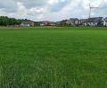 Bild: bk
Bis zu 15 Bauplätze sind in Freihung-West unweit der B 299 vorgesehen.