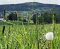 Bild: Portner
Panoramablick vom Ortsteil Schwand auf die Stadt Schönsee und den Drechselberg: Die Mittelgebirgslandschaft im „Naturpark Oberpfälzer Wald“ bietet sich mit ihren sanften Tälern und Höhen für Wanderungen an. Jetzt will das Schönseer Land mit Pauschalangeboten nicht nur die Tagestouristen locken.