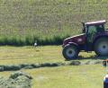 Bild: sl
Der Traktor muss ausweichen, denn der Storch lässt sich nicht beirren.