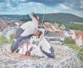 Bild: Uli Hofmann/exb
Alleinerziehende Mutter mit vier Kindern: Dieses Schicksal hat Familie Storch auf dem Pfreimder Horst ereilt. Storchenbetreuer Arnold Kimmerl ist aber zuversichtlich, dass der Nachwuchs nicht hungern muss, und hat vorsichtshalber eine Futterstelle eingerichtet.