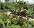 Bild: Portner
Die Landesgartenschau Ingolstadt punktet mit vielen Blumen und naturnahen Ideen.