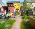 Bild: fpoz
Im Lehrgarten des Obst- und Gartenbauvereins am Waldershofer Stadtpark konnten sich Interessierte Fenchelpflanzen abholen.