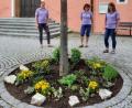 Bild: Gerda Stollner/exb
Helferinnen des Obst- und Gartenbauvereins an dem von ihnen bepflanzten Rondell an der Christuskirche in Schwend.