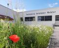 Bild: Paulus Mehler/exb
Mit der Wildwiese am Unternehmen hat die Tuchfabrik Mehler einen Beitrag zum Volksbegehren "Rettet die Bienen" geleistet.