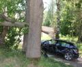 Bild: frd
Das Unfallauto prallte gegen einen Baum. Der Stamm brach ab.