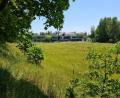 Bild: sne
Der ehemalige DJK-Platz beim St.-Michaels-Werk könnte nach der Vorstellung der Grafenwöhrer CSU ein Baugebiet werden.