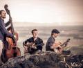 Bild: Christoph Lehner
Das Diknu-Schneeberger-Trio sorgt für Furore in der Gypsy-Jazz-Szene.