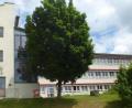 Bild: mad
Die Marktgemeinde lässt das Gebäude der Dr.-von-Ringeis-Schule auf Vordermann bringen. In der Ratssitzung sind dazu verschiedene Gewerke vergeben worden.