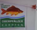 Bild: bnr
Mit neuen Werbemitteln will die Tego auf das Qualitätsprodukt "Oberpfälzer Karpfen" hinweisen und so den Absatz steigern.