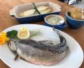 Bild:  Michael Schiffer
Die Forelle blau kommt mit Spargel und Grüner Sauce auf den Tisch. Dazu reicht OWZ-Küchenchef Michael Schiffer Pellkartoffeln.