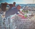 Bild: Webcam Stadt Pfreimd
Horstbetreuer Arnold Kimmerl (im Hintergrund) und Bernhard Beierlein von der Feuerwehr bringen die vier verletzten Jungstörche mit der Drehleiter in Sicherheit.