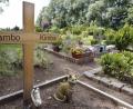Symbolbild: Markus Scholz/picture alliance/dpa
Dieses Symbolbild zeigt einen Tierfriedhof. Auch Kater Tommy aus Edelsfeld ist inzwischen begraben.