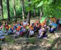 Bild: u
Eine Woche lang tauschen die St.-Wolfgang-Krippen- und -Kindergartenkinder gemeinsam mit ihren Erzieherinnen Gerlinde Birner (links) und Laura Rustler (rechts) ihre Gruppenzimmer mit einem Lagerplatz in einem Waldstück am Kalvarienberg und machen bei ihren Exkursionen tolle Entdeckungen.