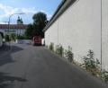 Bild: kgg
Disteln verschönern Klostermauer in der Brauhausstraße in Waldsassen.