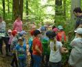Bild: dob
Die Mädchen und Buben des Kindergartens Don Bosco sammeln bei einer Waldwoche viele Eindrücke. Projektleiterin Julia Dobmayer (Zweite von links) lud dazu WBV-Förster Andreas Eiser (rechts) ein, der den Kindern durch ein Experiment zeigte, wie sich Wasser im Waldboden reinigt.
